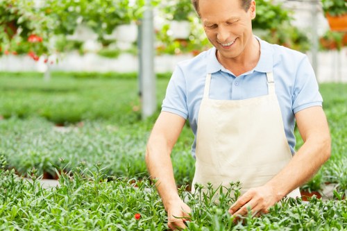 Professional landscape designer planning a garden layout in Ickenham