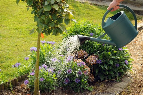 Man and van loading green waste from suburban garden