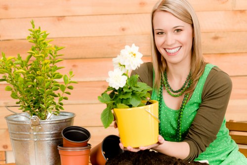 Lush green lawn maintained by landscape gardening services in Ickenham